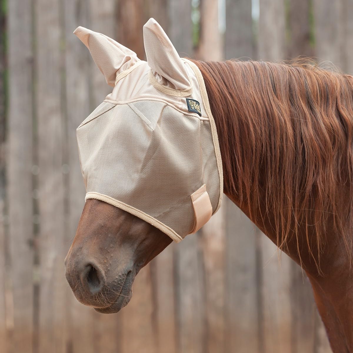 Cashel Economy Fly Mask shows lightweight mesh for breathable outdoor wear against pests