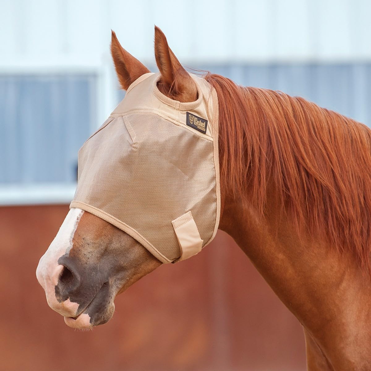 Cashel Economy Standard Horse Fly Mask gold, front view, breathable mesh for fly protection