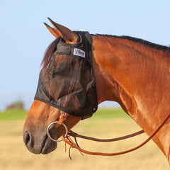 Cashel Quiet Ride mask eye-area detail, breathable mesh for comfort