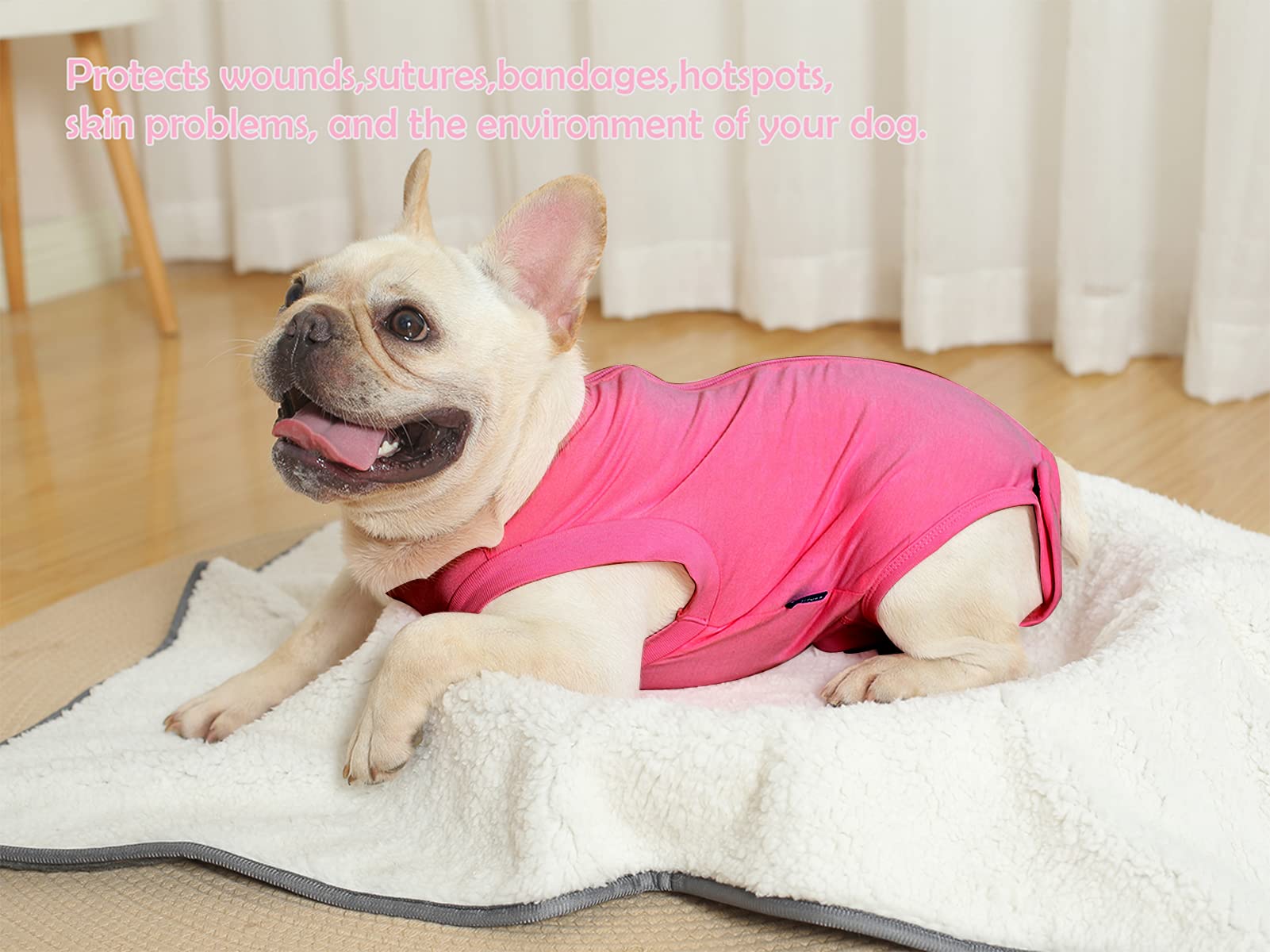 Caslfuca breathable stretchy fabric keeps dogs comfortable during recovery.