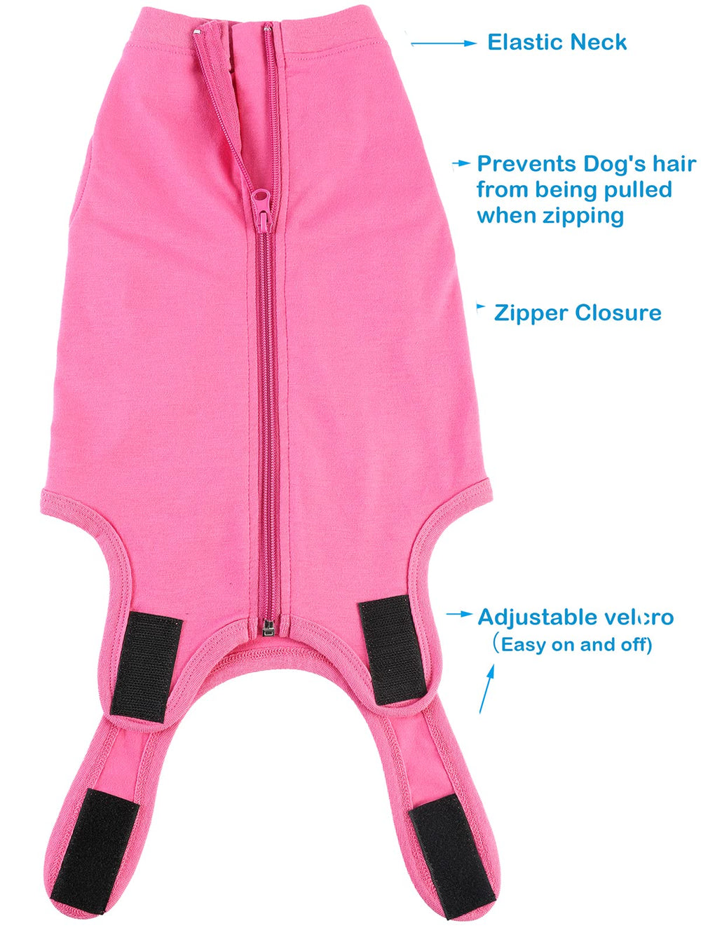 Caslfuca conical neck alternative replaces collars without restricting activity.