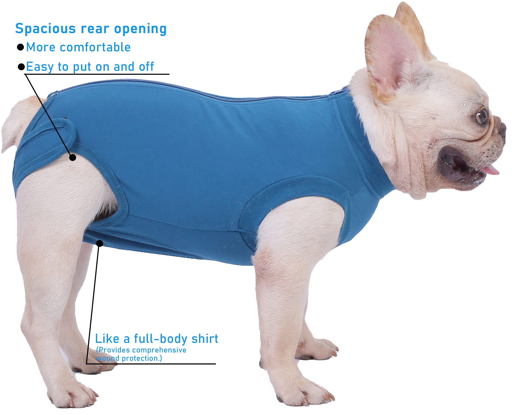 Caslfuca breathable stretch fabric keeps dog comfortable during recovery.