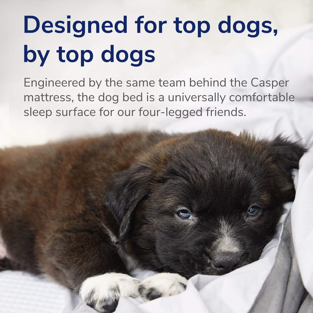 Casper dog bed machine-washable cover resists fur slobber