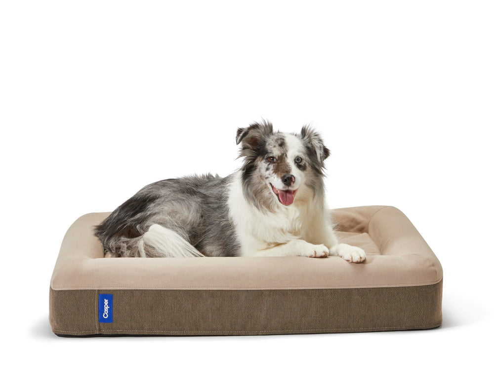 Casper dog bed top view plush memory foam for pressure relief