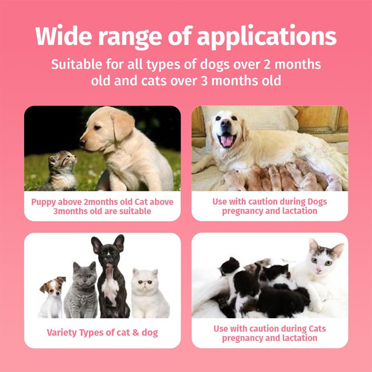Cassiel pet gentle formula supports daily paw and coat care.