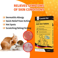 Cassiel Pet Dog Allergy Relief Chews addressing dog rash relief