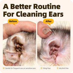 Cassiel pet Ear Drops applied to dog's ear for soothing relief