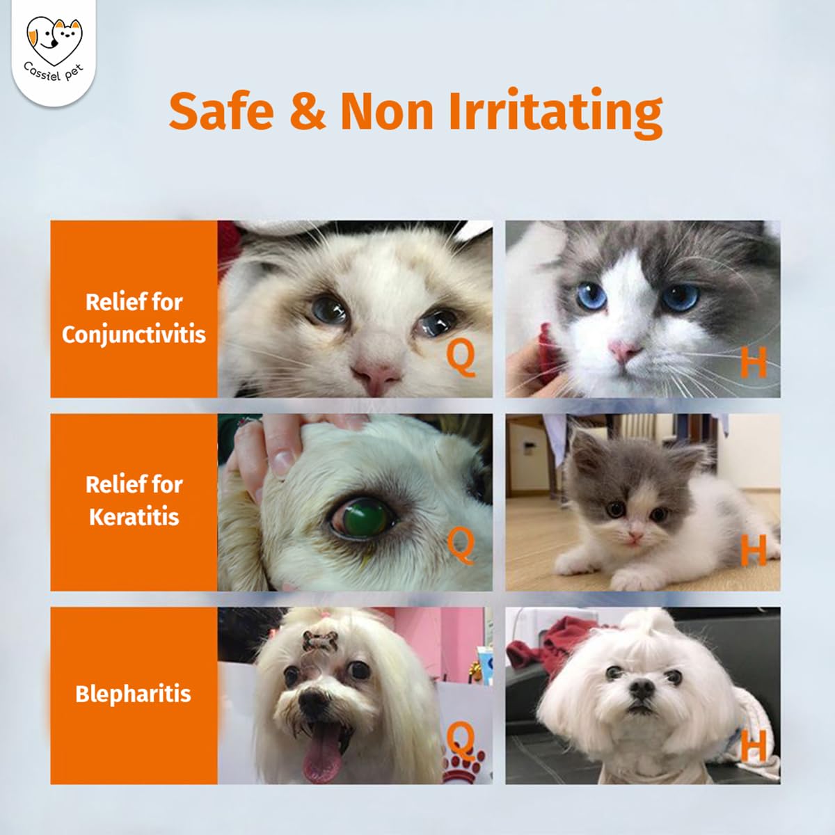 10 ml Cassiel Pet Eye Drops bottle detail for easy dosing
