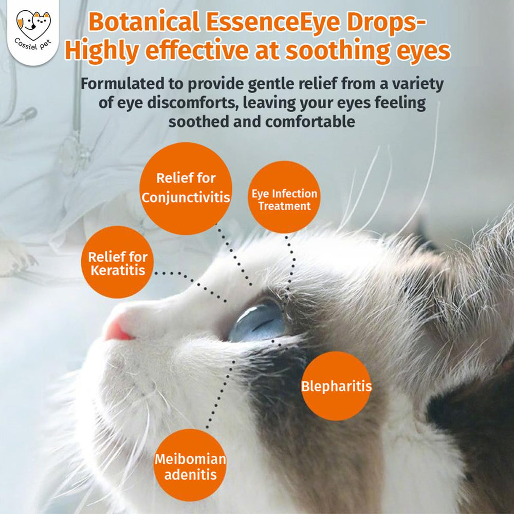 Applying Cassiel Pet Eye Drops near a pet's eye for care