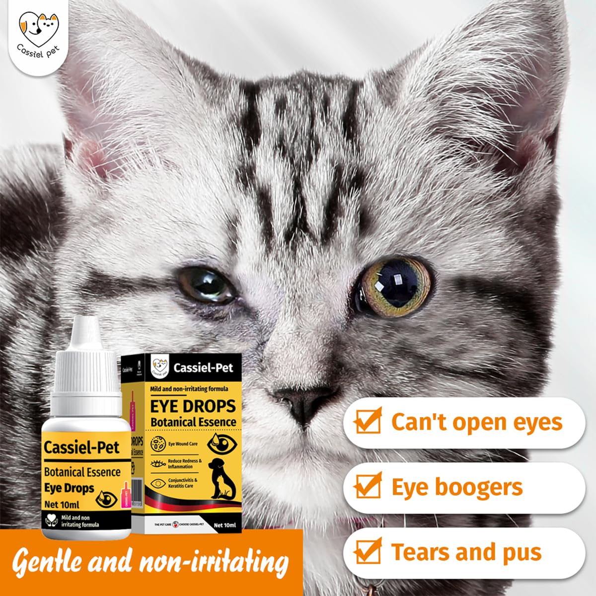 Dropper dispensing Cassiel Pet Eye Drops for at-home use