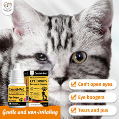 Dropper dispensing Cassiel Pet Eye Drops for at-home use