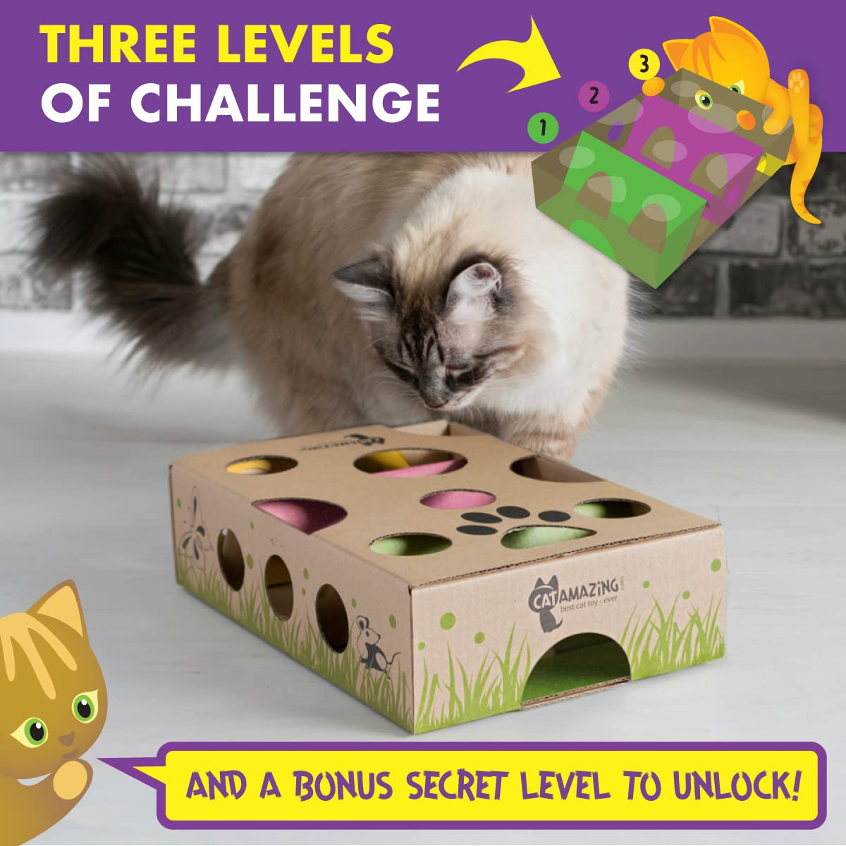 Cat Amazing cat enjoying rewards through interactive play.