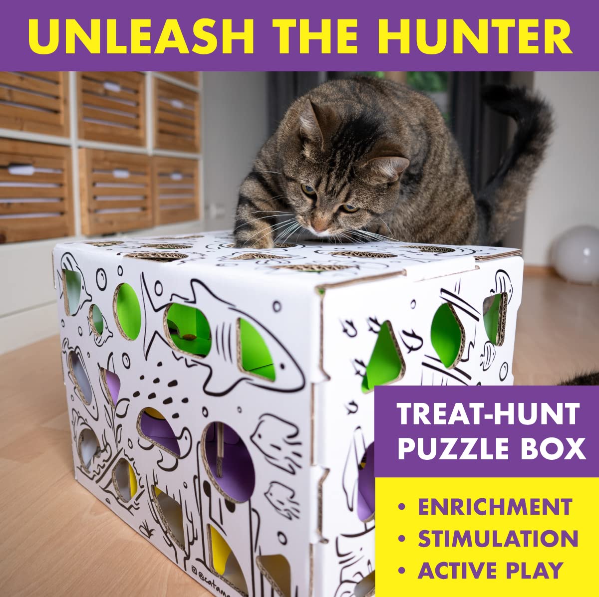 Cat Amazing MEGA cat enrichment play shows interactive setup for brain-boosting fun.
