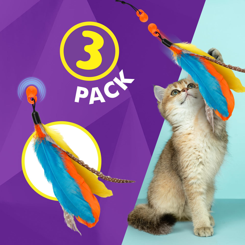 Cat Amazing Snatch Feathers wand attachment in use, inviting cats to chase and pounce.