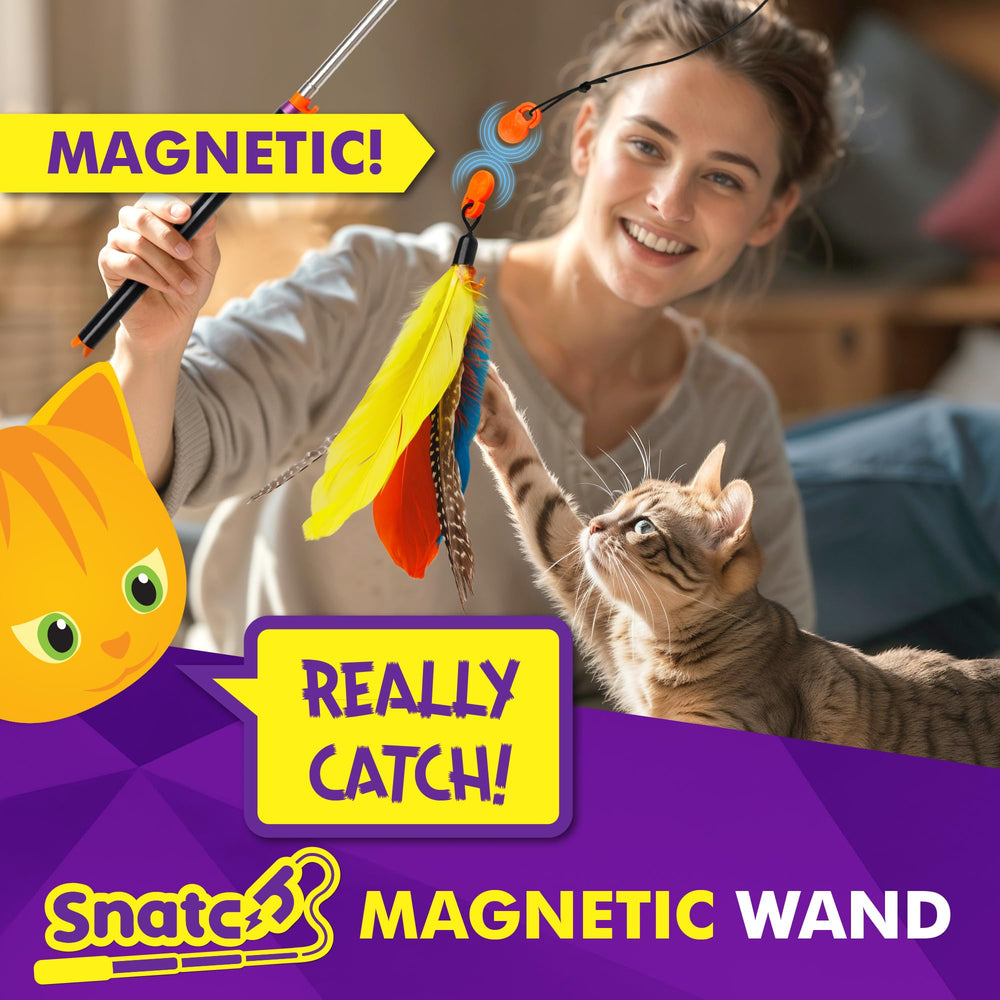 Cat Amazing Snatch telescoping pole extends to reach for distant play.
