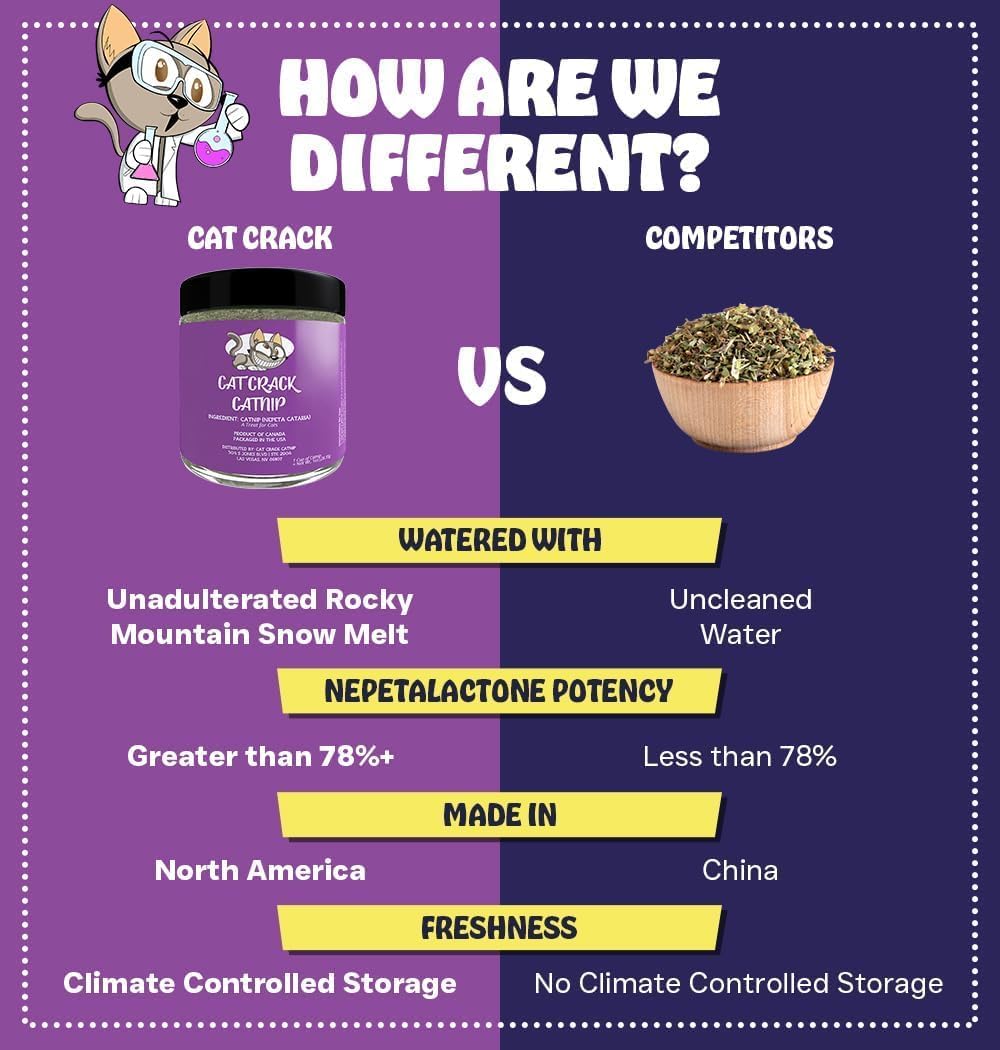 Cat Crack high nepetalactone content for stronger play sessions.