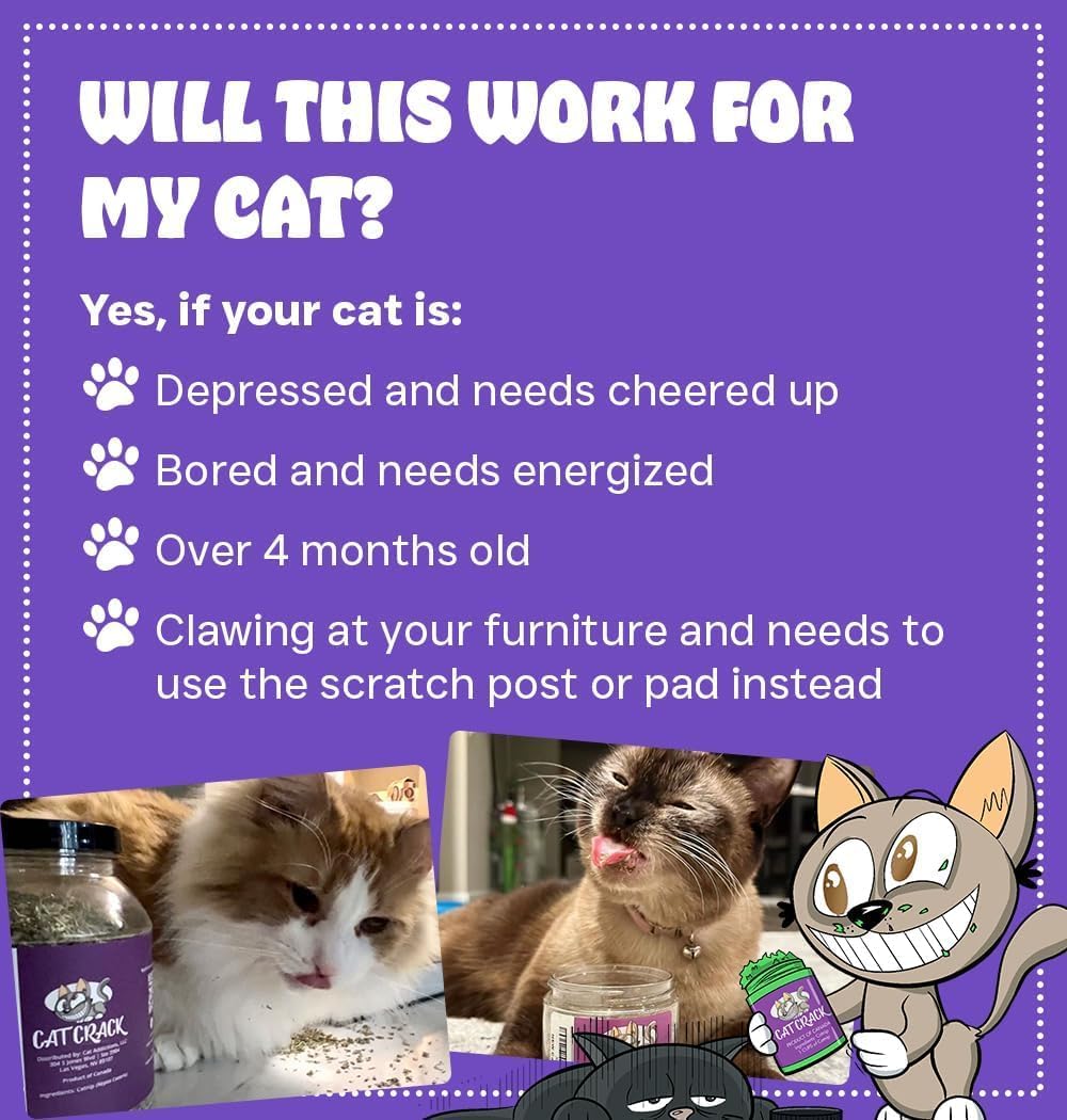 Cat Crack North America made label indicating quality.