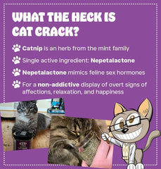 Cat Crack Organic Catnip leaf close-up inviting feline exploration and curiosity.