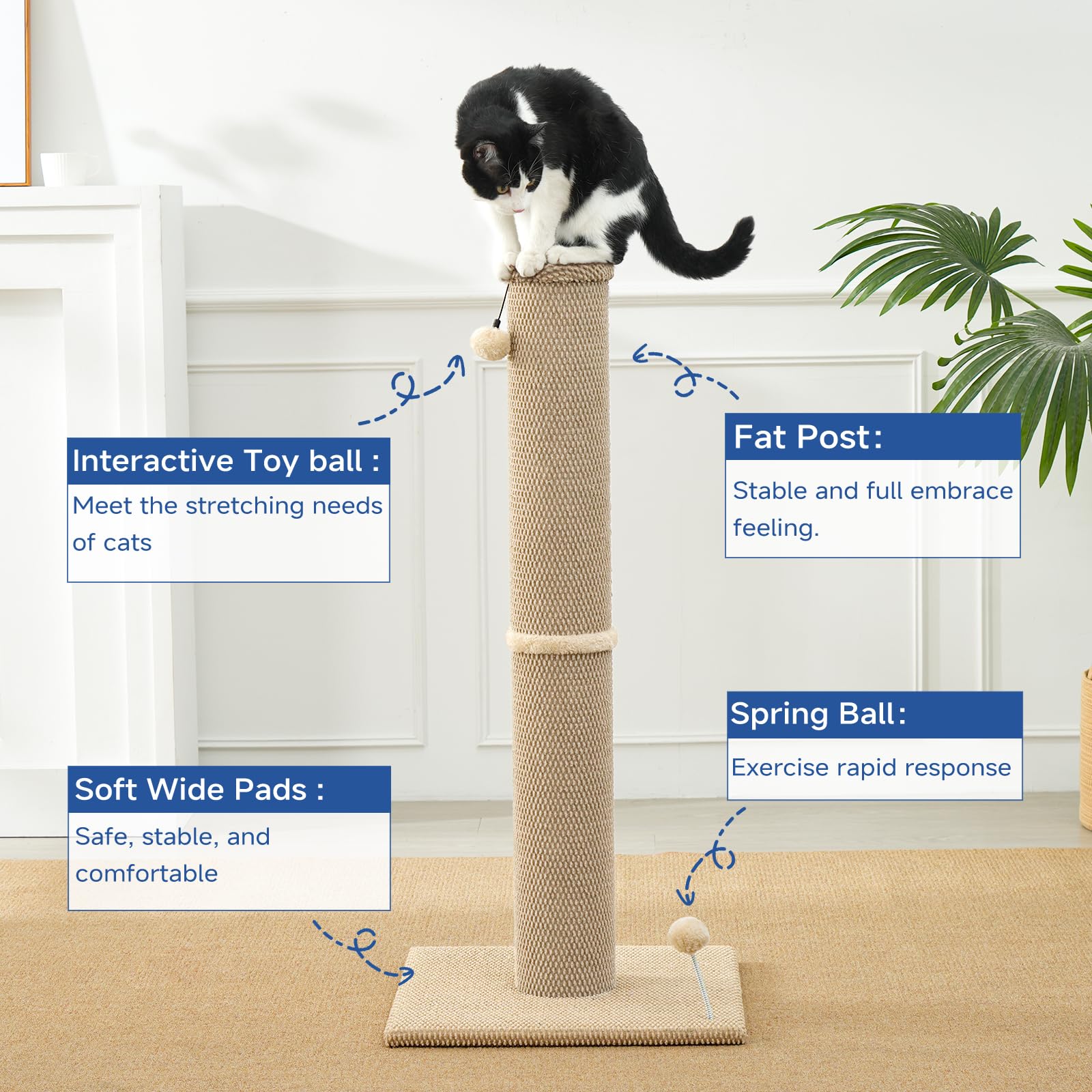 Cat Craft replaceable toys and spring engage play for hours.