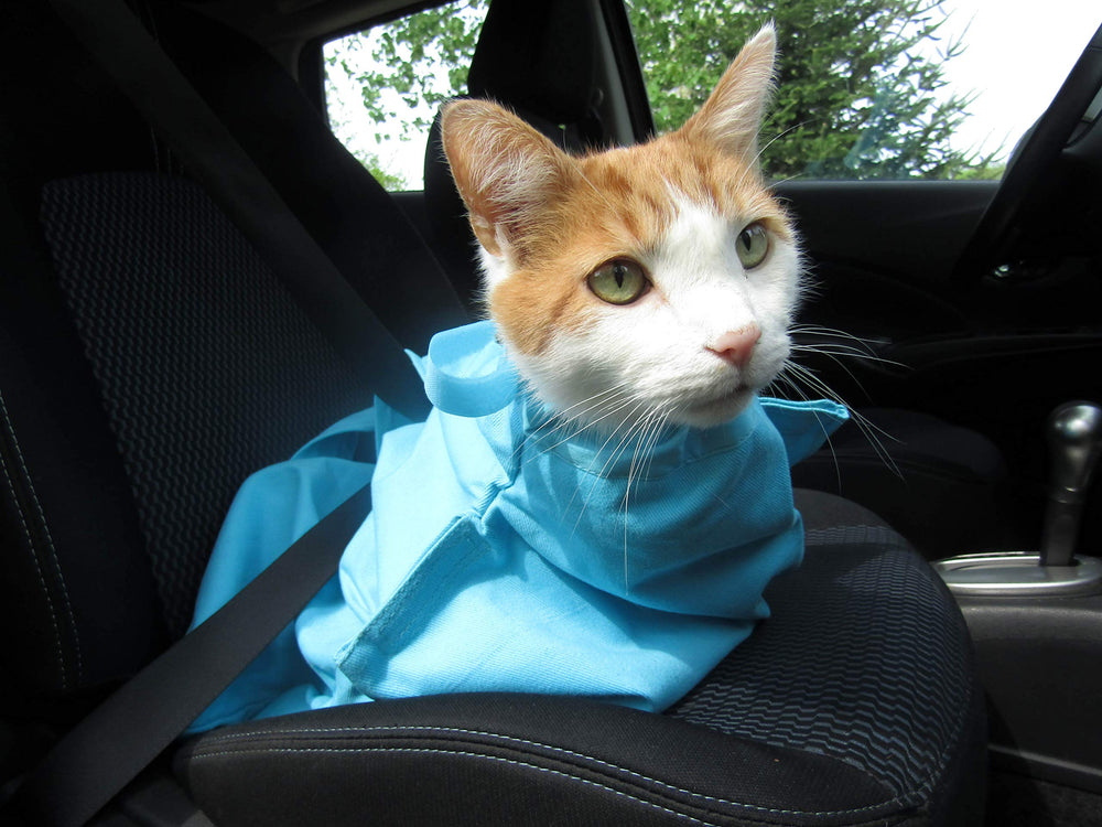 Cat-in-the-Bag Cozy Comfort Carrier US-based brand, trusted for gentle travel
