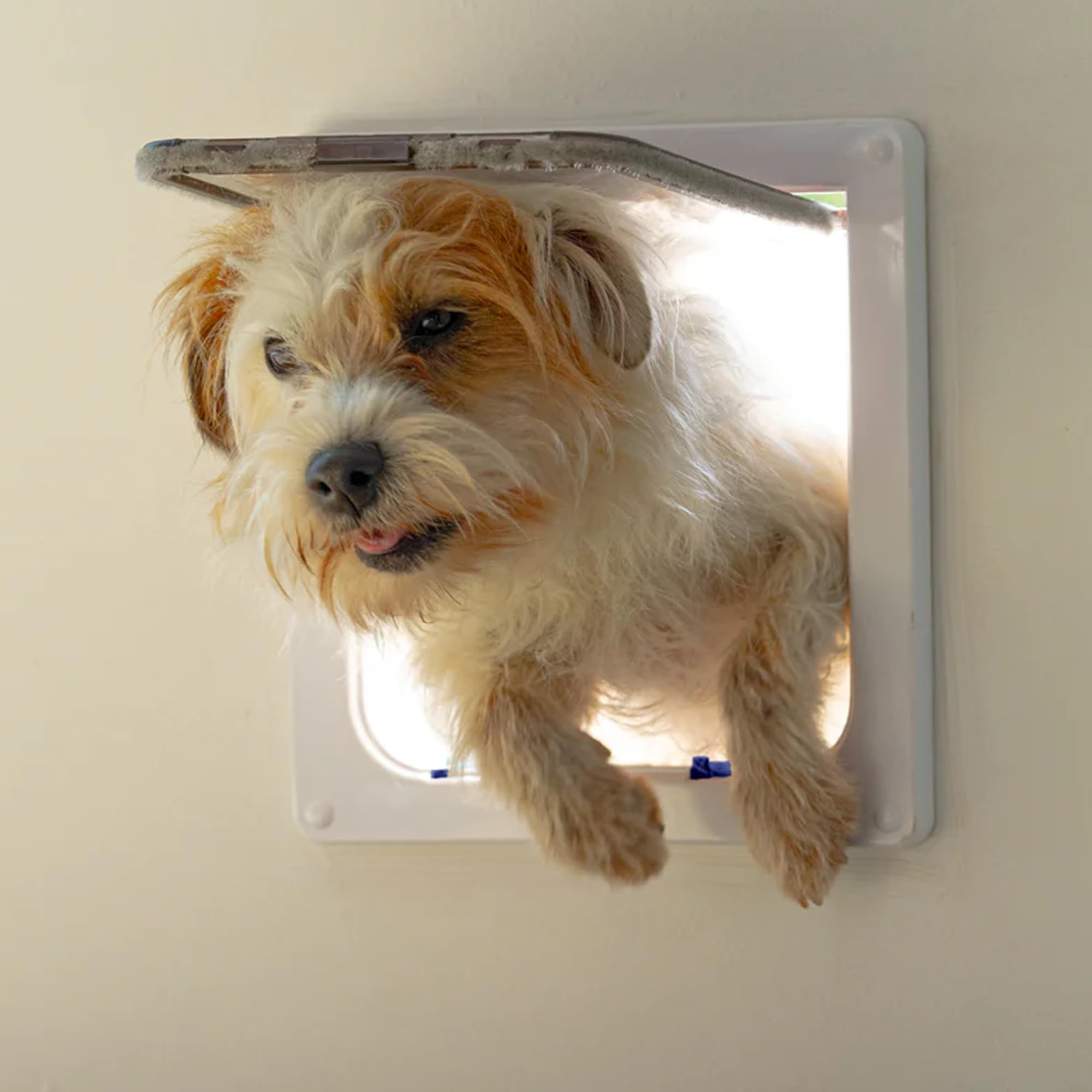 Cat Mate 4-Way Locking Large Cat Flap magnetic closure maintains warmth at the door.