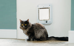 Cat Mate Microchip Cat Flap installation in a UPVC door for easy setup
