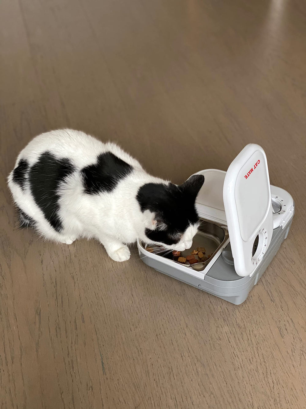 Cat Mate insert supports wet and dry foods with ease