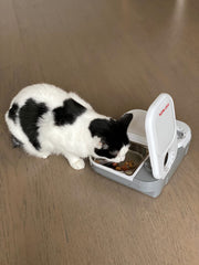 Cat Mate insert supports wet and dry foods with ease