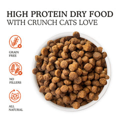 Cat Person dry cat food 4lb bag served in a bowl, convenient daily meal