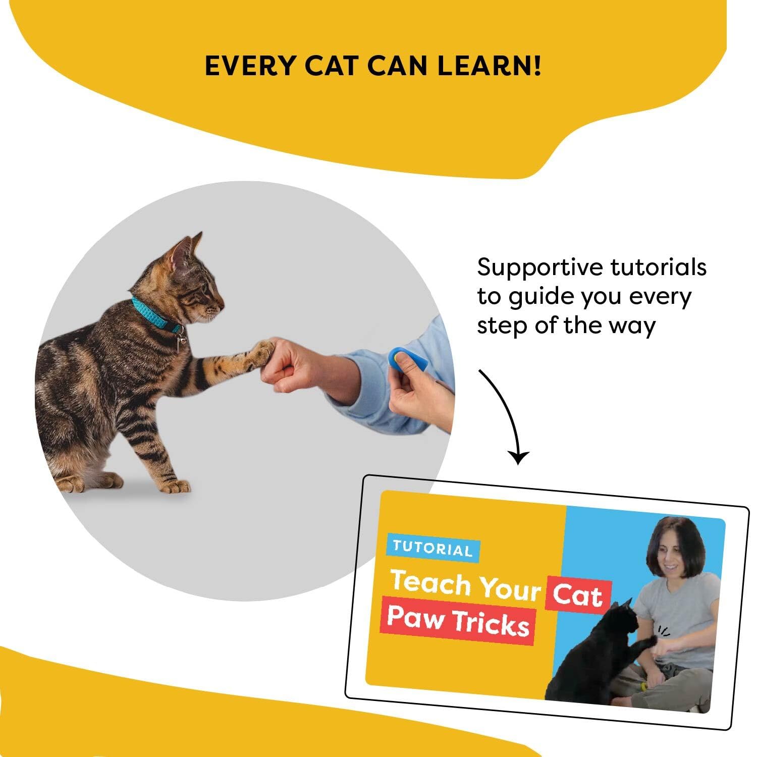 Cat School access to training video tutorials for guidance