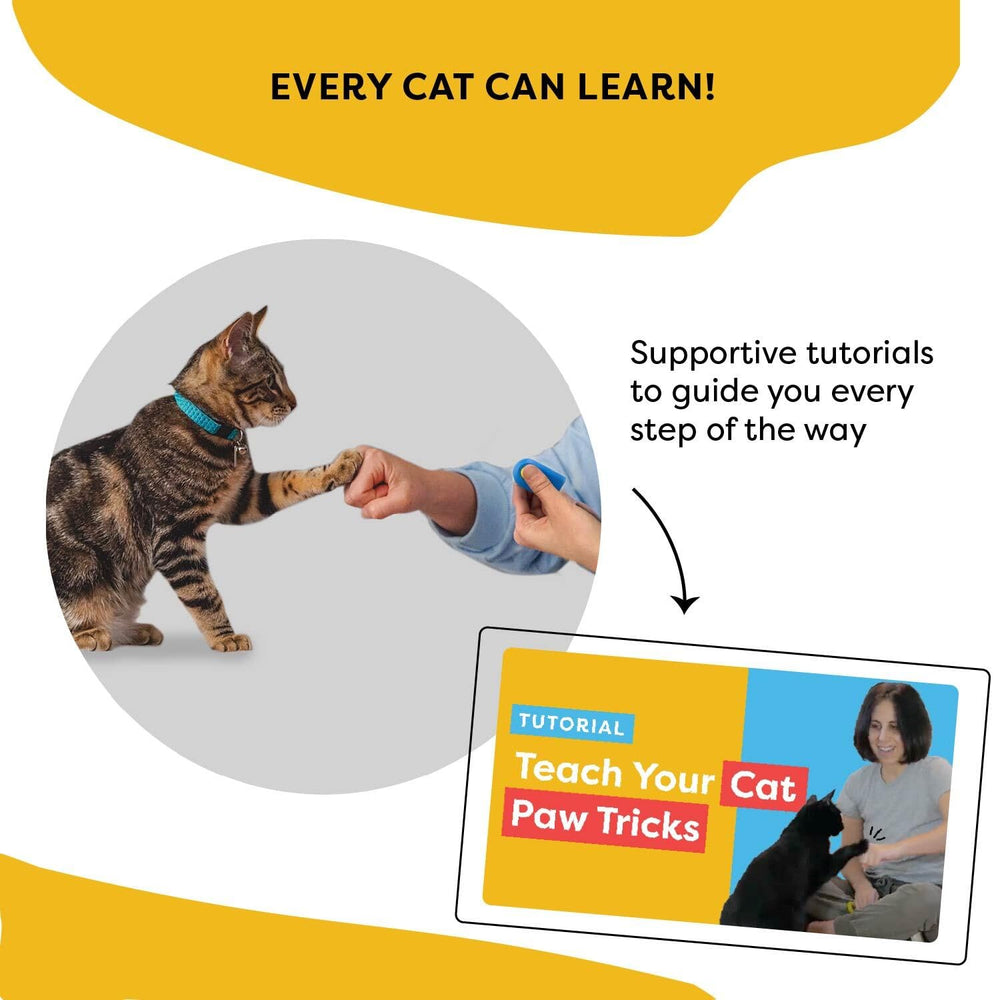 Cat School access to training video tutorials for guidance
