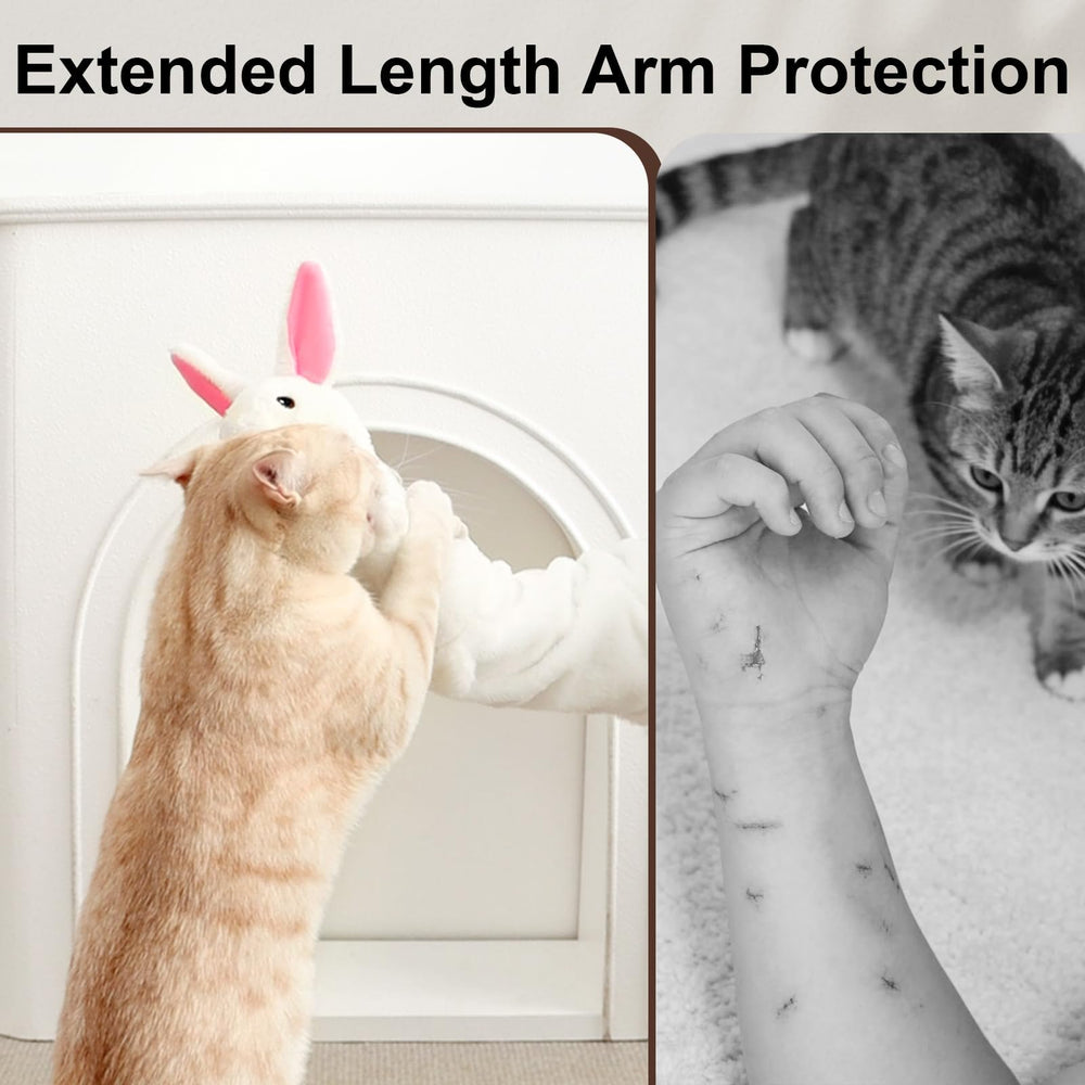 Catails wrestling glove toy secure forearm fit during play sessions.