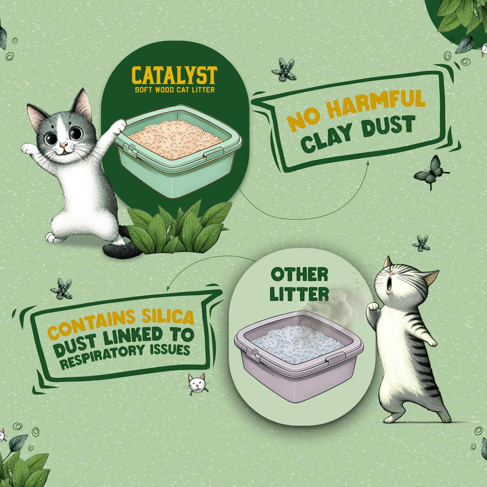 Catalyst lightweight litter makes handling and pouring quick and mess-free