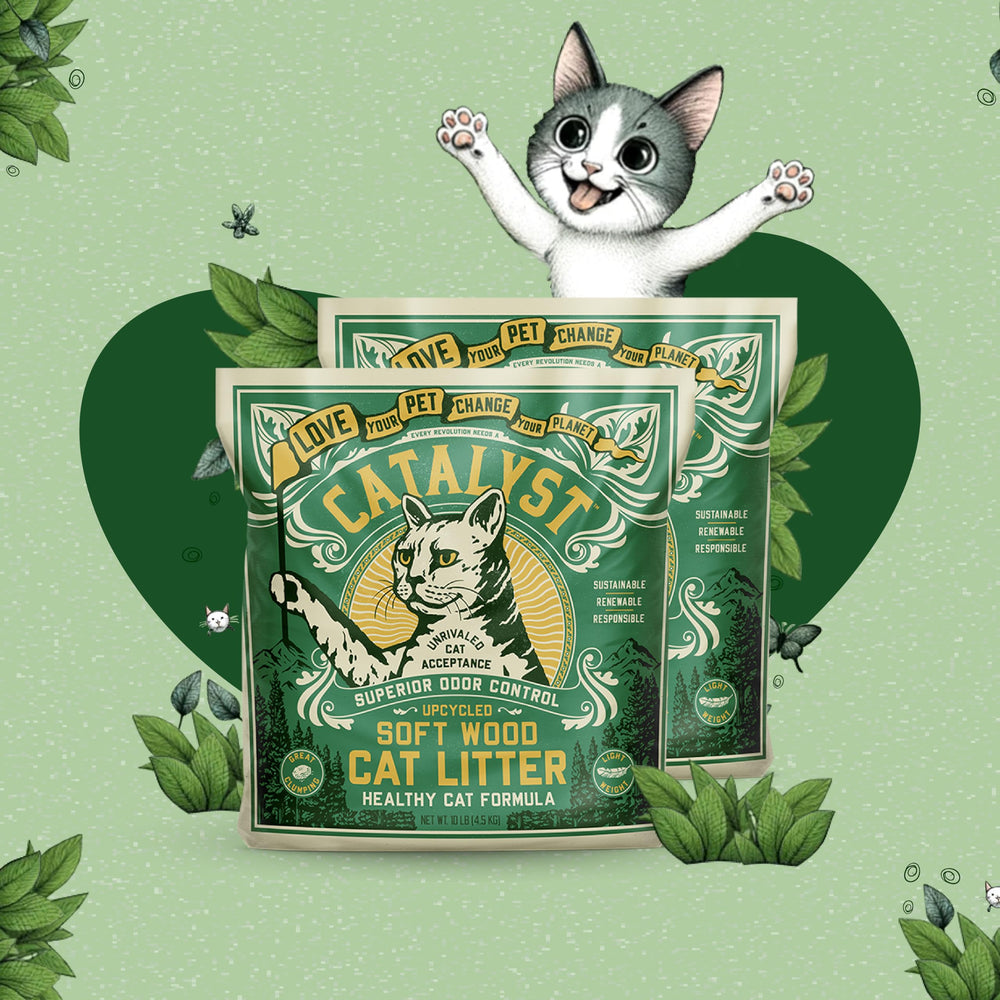 Catalyst soft wood cat litter 10lb pack for easy handling and long-lasting use