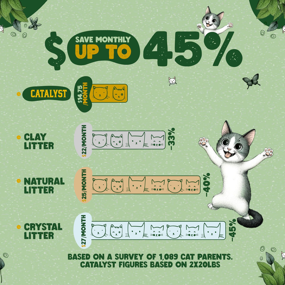 Catalyst sustainable wood-fiber litter highlights eco-friendly sourcing