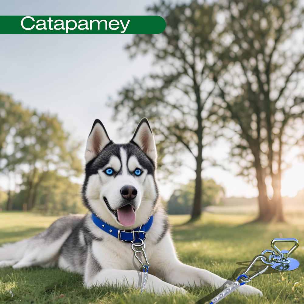 Catapamey dog camping essentials kit supports safe outdoor outings.