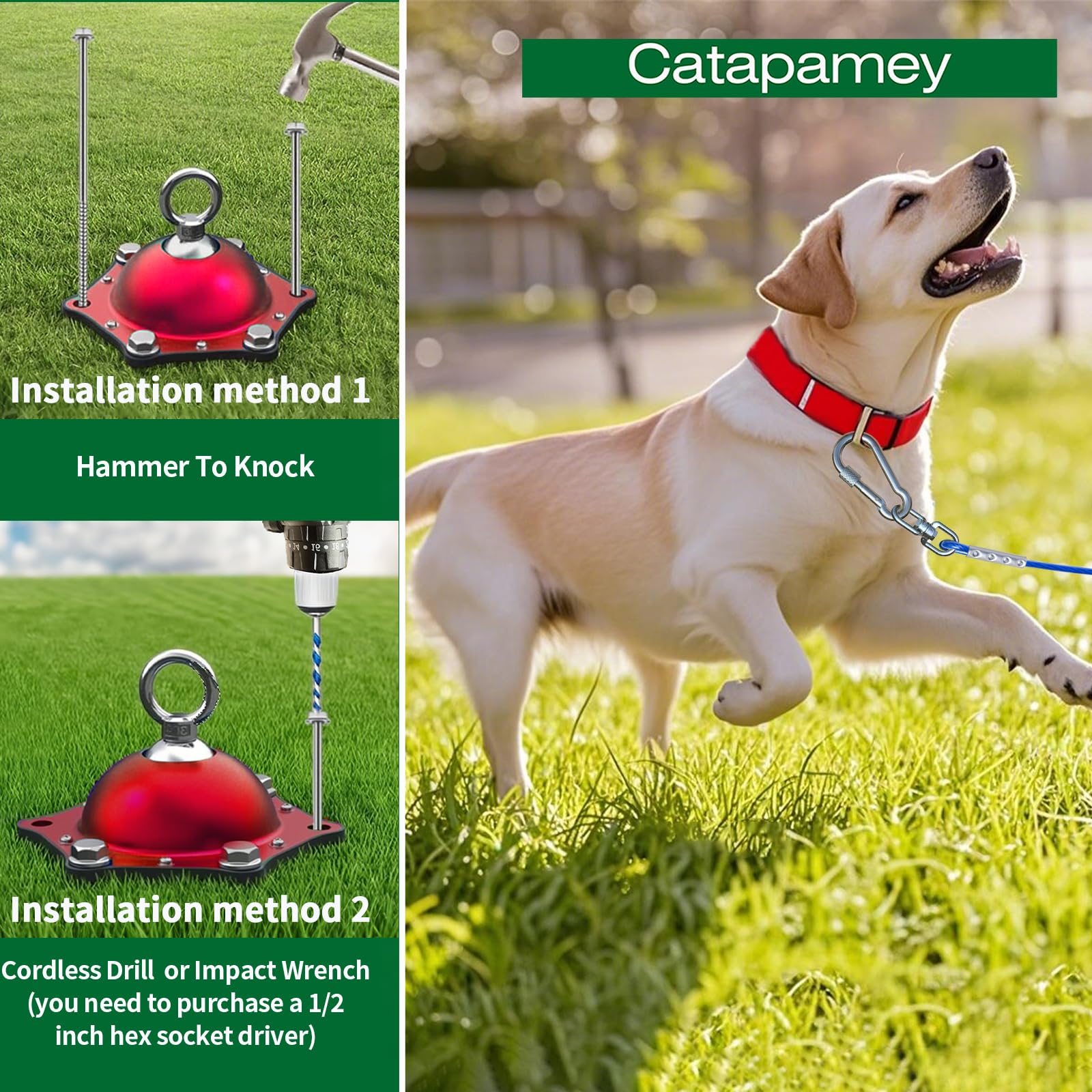 Catapamey fast-install dog stake for quick setup outdoors