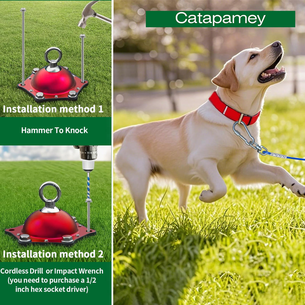 Catapamey fast-install dog stake for quick setup outdoors