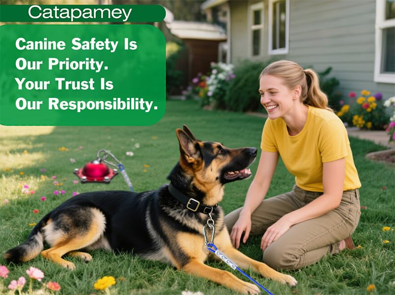 Catapamey no-tangle dog run setup promoting free, safe movement