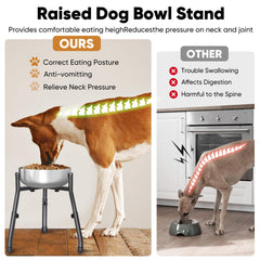 CatAve height-adjustable dog bowl stand with three height settings for growing dogs.