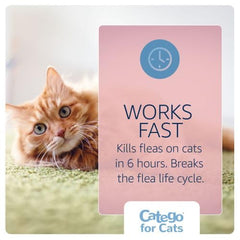 Catego for Cats applying to the skin provides quick protection across the coat