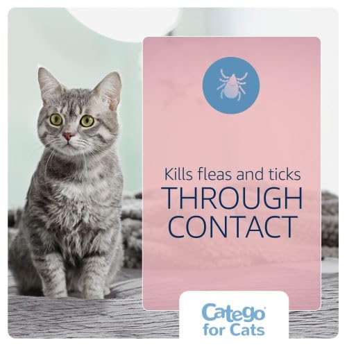 Catego for Cats kills fleas within six hours on cats