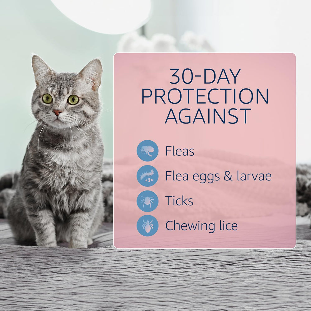 Catego for Cats fragrance-free formula dries quickly on fur.