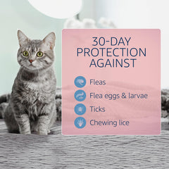 Catego for Cats fragrance-free formula dries quickly on fur.