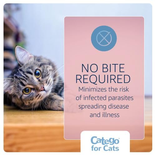 Catego for Cats delivers full body protection for indoor and outdoor use