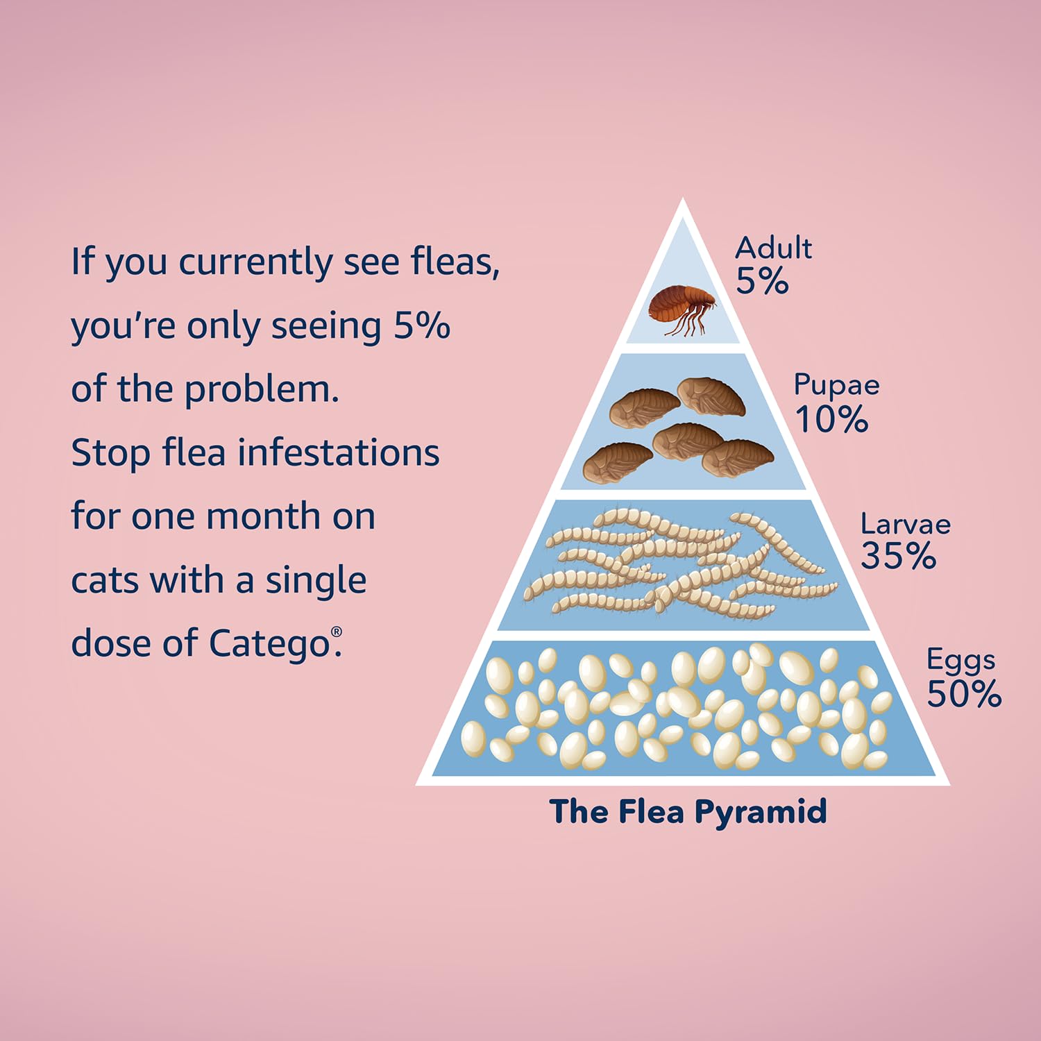 Catego for Cats provides month-long protection with a single dose.
