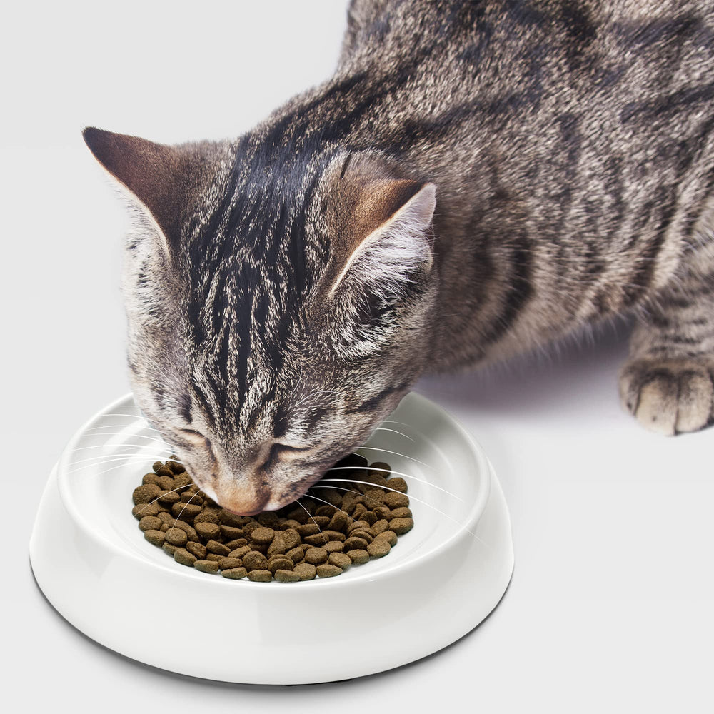 CatGuru 5-ounce-capacity bowls help with portion control.