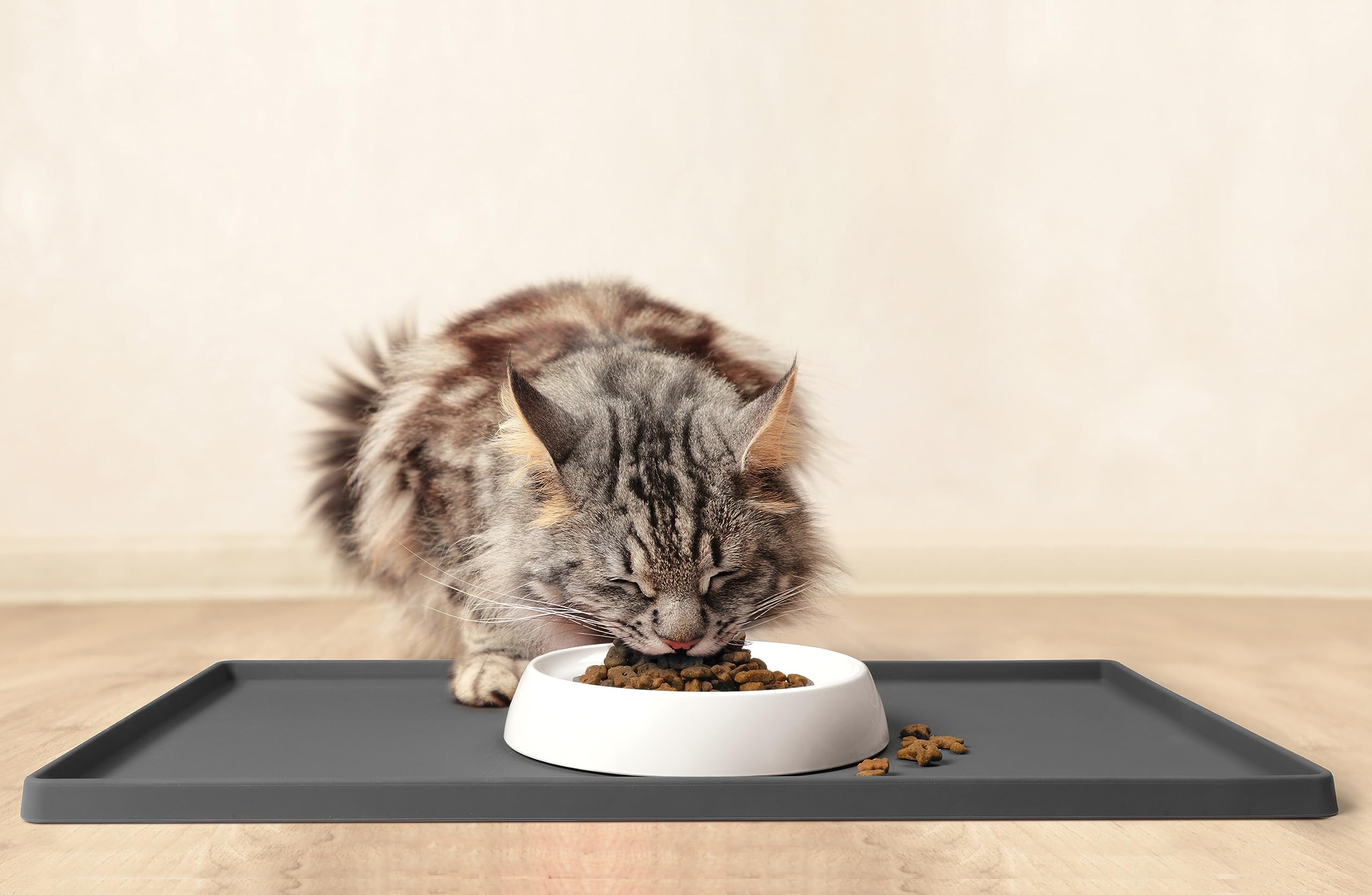 CatGuru compact 6.6-inch bowl fits small feeding spaces