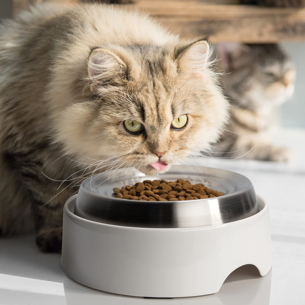CatGuru dishwasher-safe bowl simplifies post-meal cleanup.