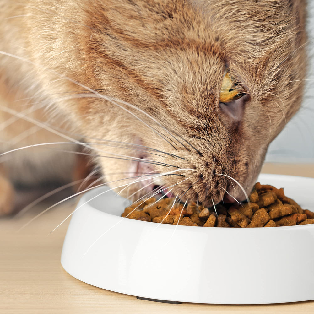 CatGuru easy-clean-handwash bowls are quick to maintain after use.